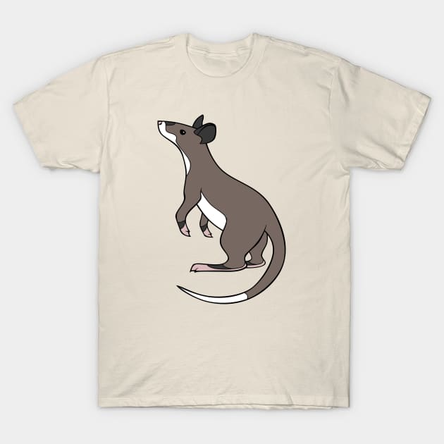 Gambian Pouched Rat T-Shirt by DeguArts